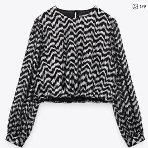 Zara Round Neck Metallic Thread Appliqué Short Jacquard Top in size Small